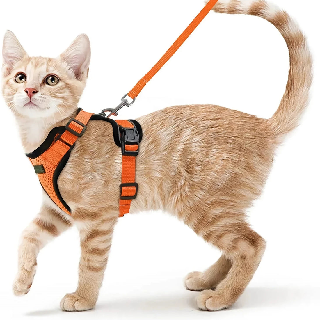 Adjustable Reflective Cat Harness & Leash