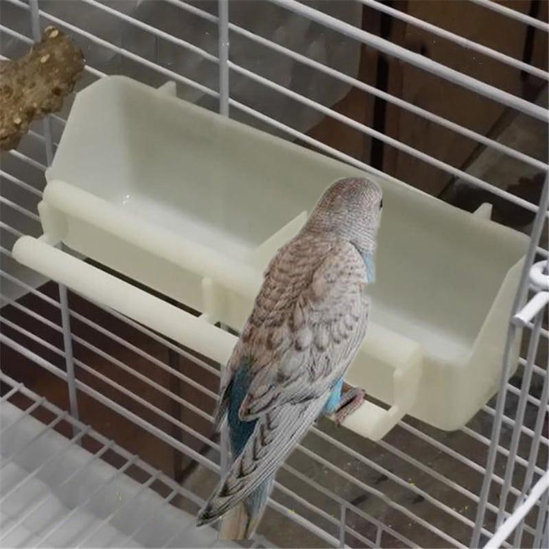 2 in 1 Bird's Feeder - Trendha