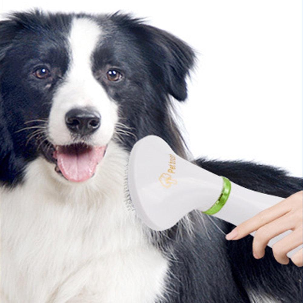 2-in-1 Pet Hair Drying Brush - Trendha
