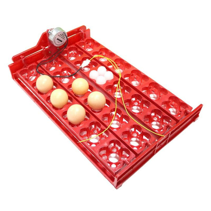 24-Eggs Automatic Incubator Tray - Trendha