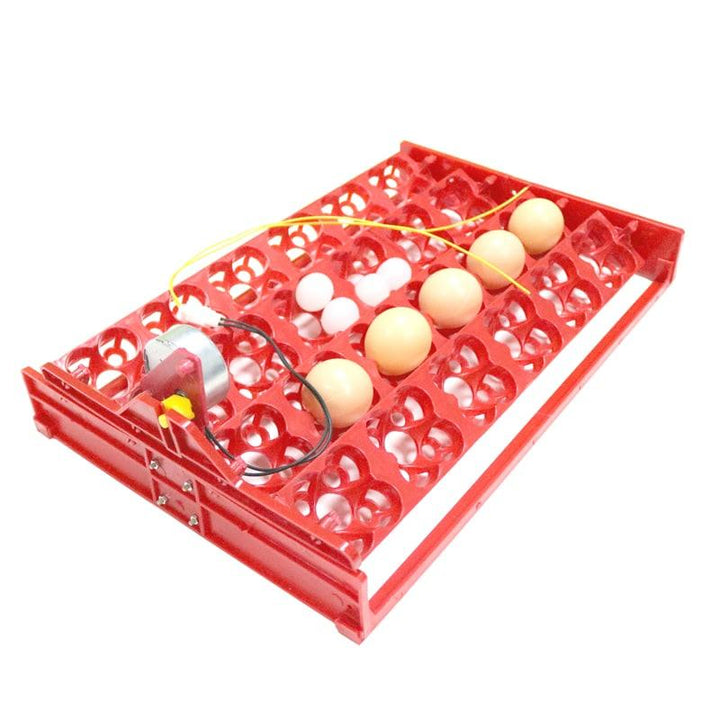 24-Eggs Automatic Incubator Tray - Trendha