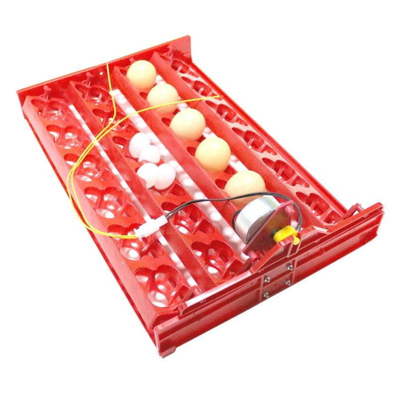 24-Eggs Automatic Incubator Tray - Trendha
