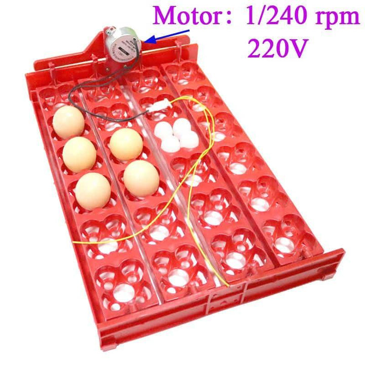24-Eggs Automatic Incubator Tray - Trendha