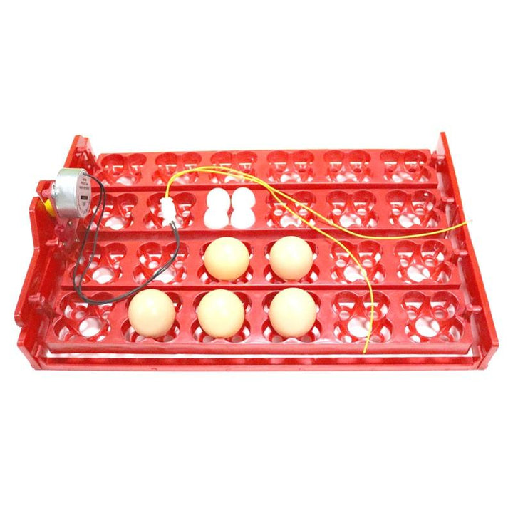 24-Eggs Automatic Incubator Tray - Trendha