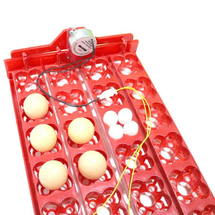 24-Eggs Automatic Incubator Tray - Trendha