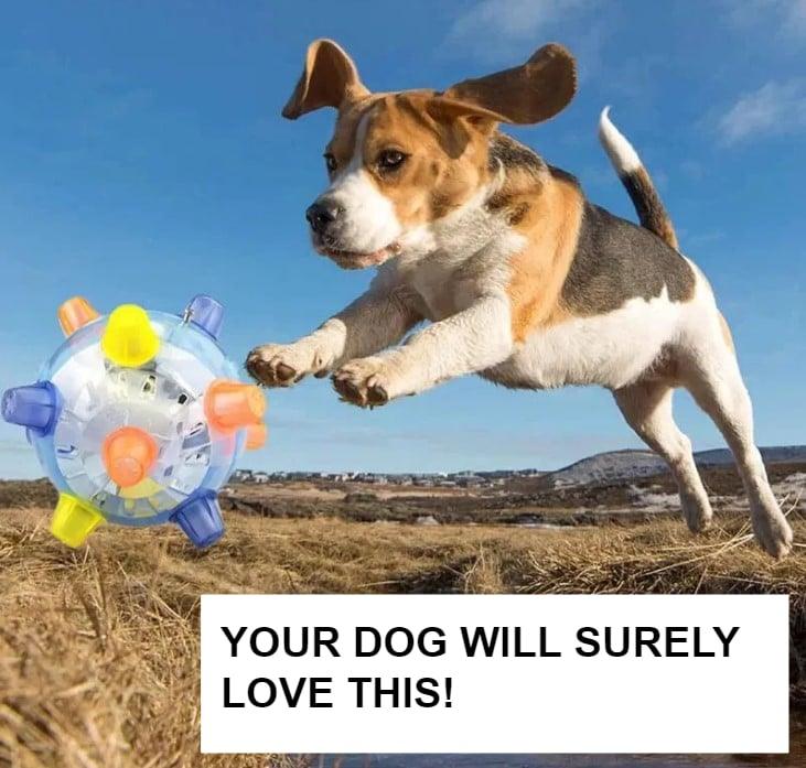 Active Jumping Ball For Dogs - Trendha