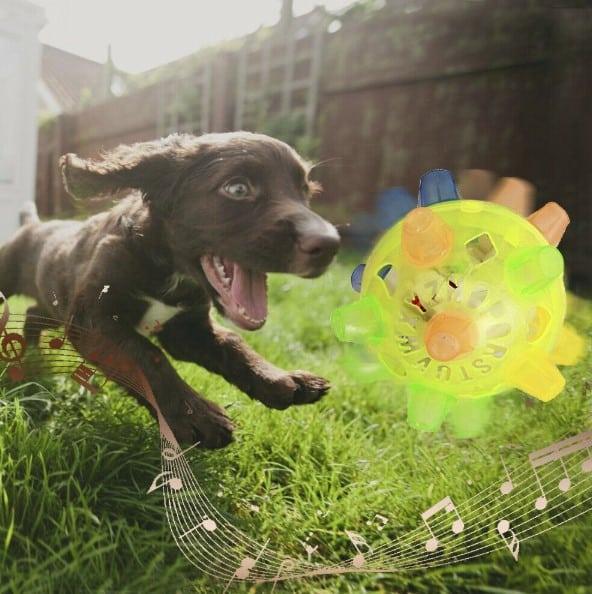 Active Jumping Ball For Dogs - Trendha