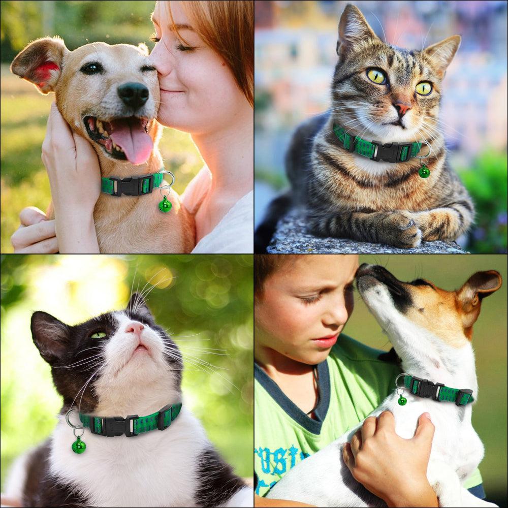Adjustable Anti Flea Collar Strap - Trendha