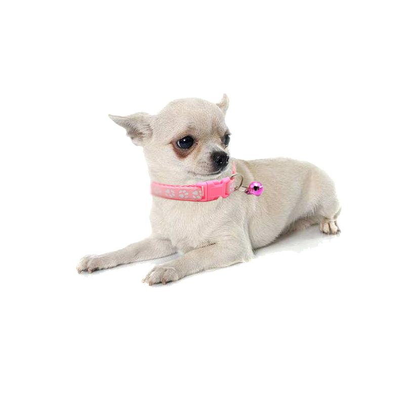 Adjustable Cute Walking Collar - Trendha