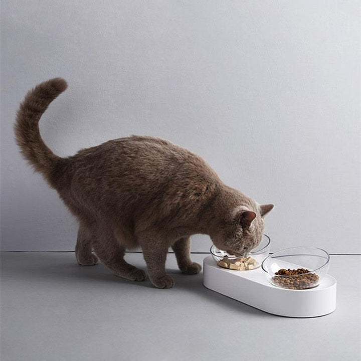 Adjustable Pet Feeding Dish - Trendha