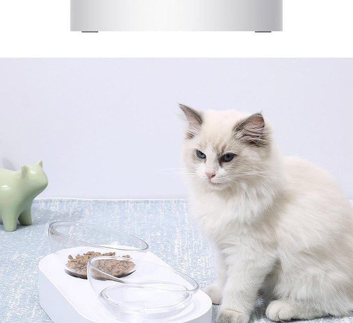Adjustable Pet Feeding Dish - Trendha