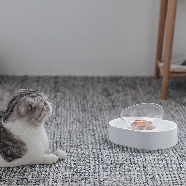 Adjustable Pet Feeding Dish - Trendha