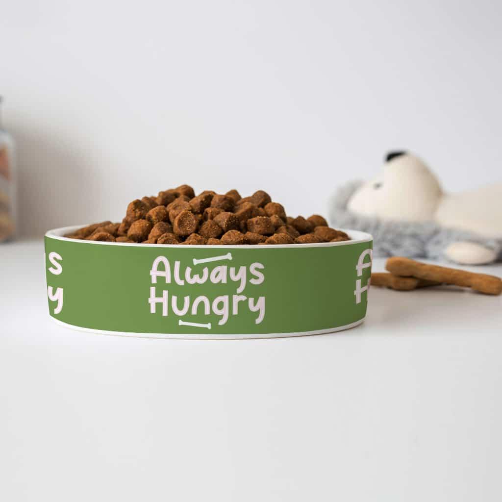 Always Hungry Pet Bowl - Funny Dog Bowl - Best Design Pet Food Bowl - Trendha