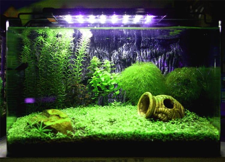 Aquarium LED Lighting Fixture - Trendha