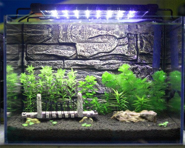 Aquarium LED Lighting Fixture - Trendha