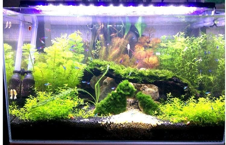 Aquarium LED Lighting Fixture - Trendha