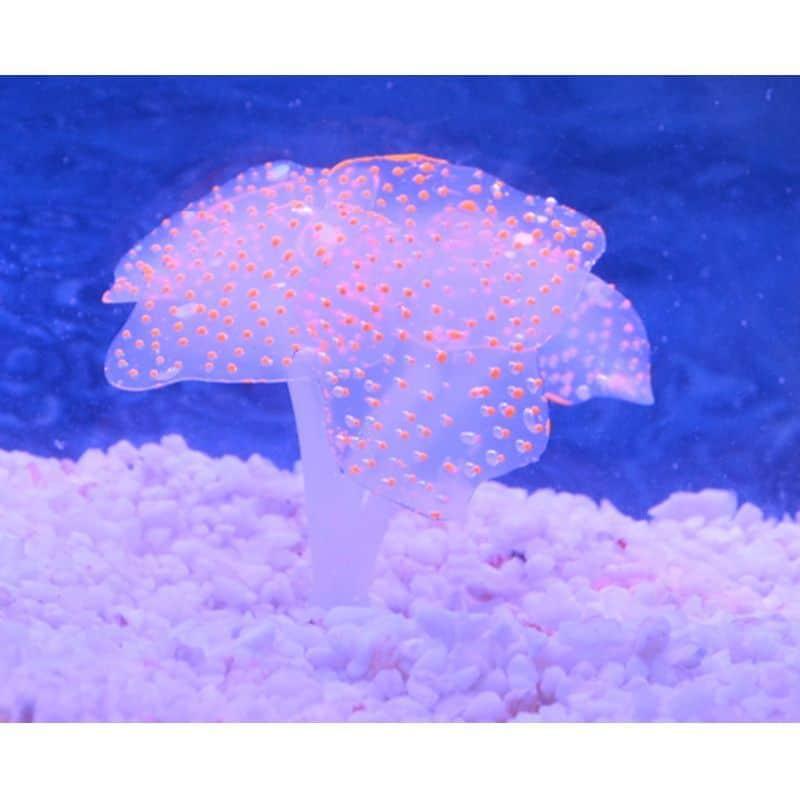 Artificial Coral Plant with Sucker - Trendha