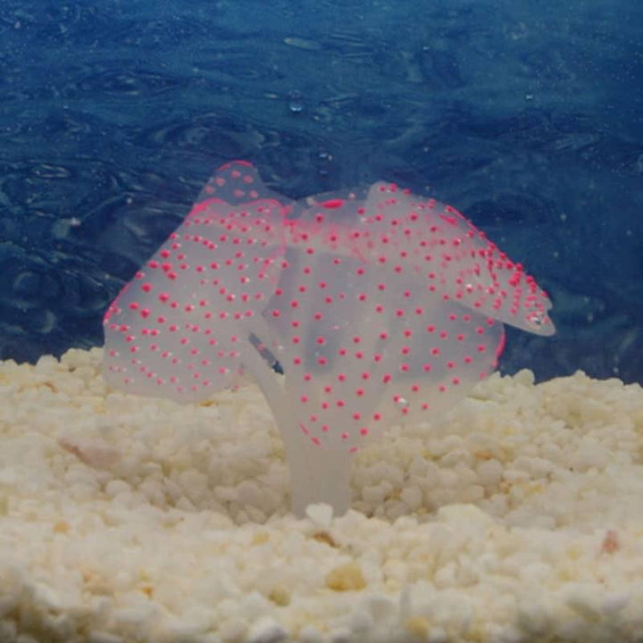 Artificial Silicone Coral for Aquarium - Trendha