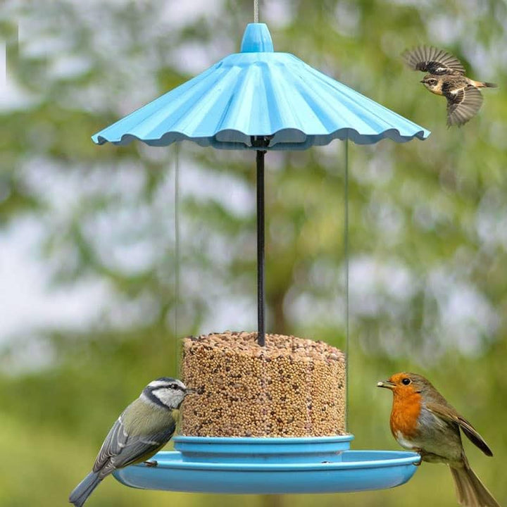 Artistic Outdoor Feeder for Birds - Trendha
