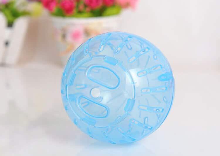 Ball Toy for Small Pets - Trendha