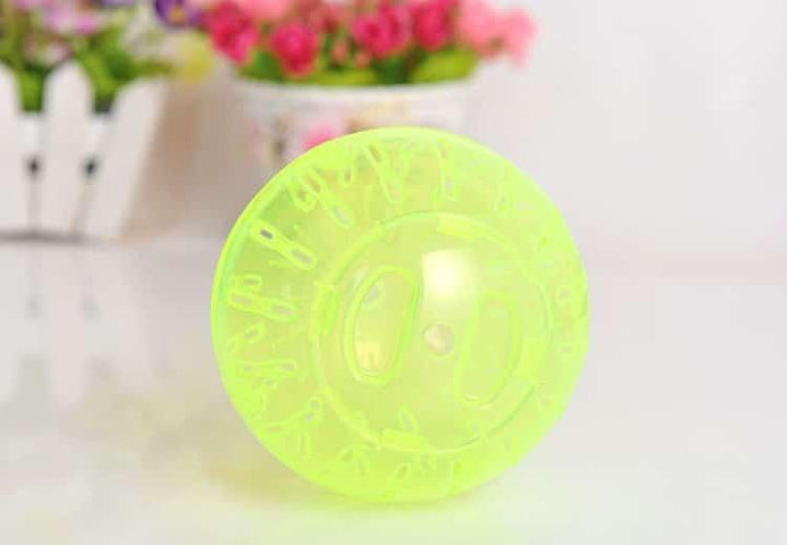 Ball Toy for Small Pets - Trendha