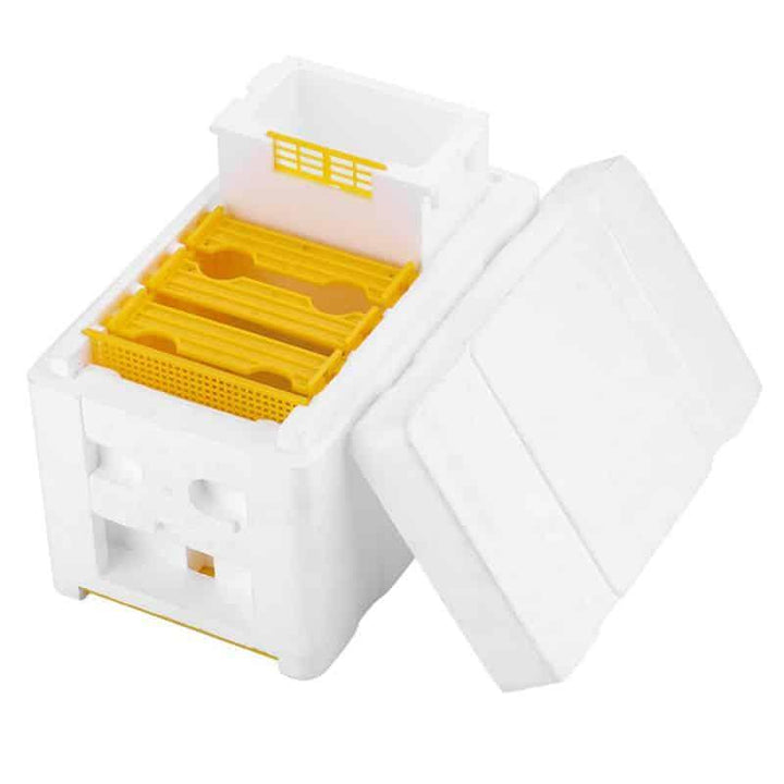 Big Bee Hive Pollination Foam Nuc Box - Trendha