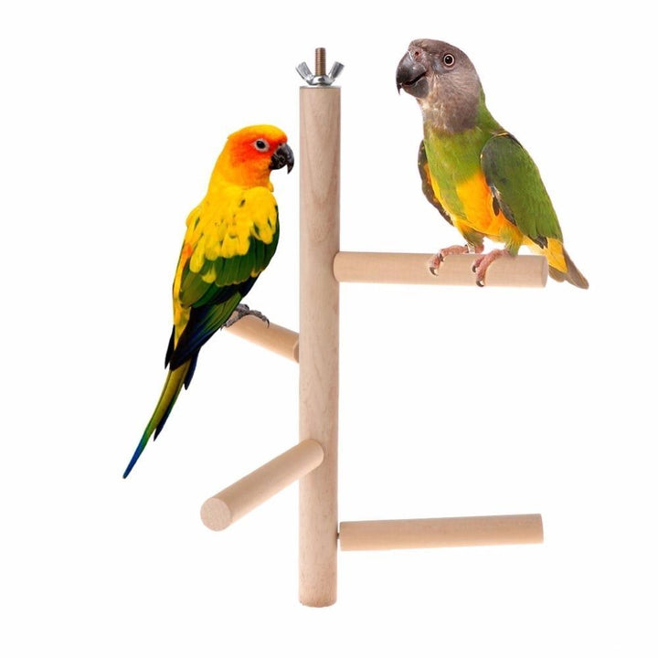 Bird's 4 Layer Perch - Trendha