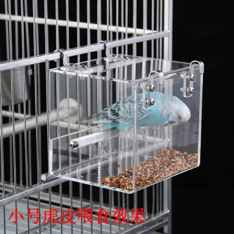 Bird's Trasparent Cube Feeder - Trendha