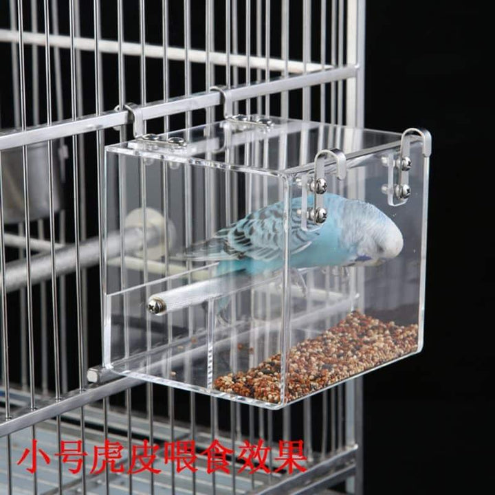 Bird's Trasparent Cube Feeder - Trendha