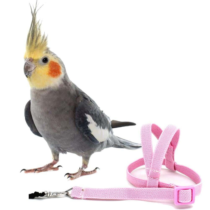 Bird's Ultralight Harness - Trendha