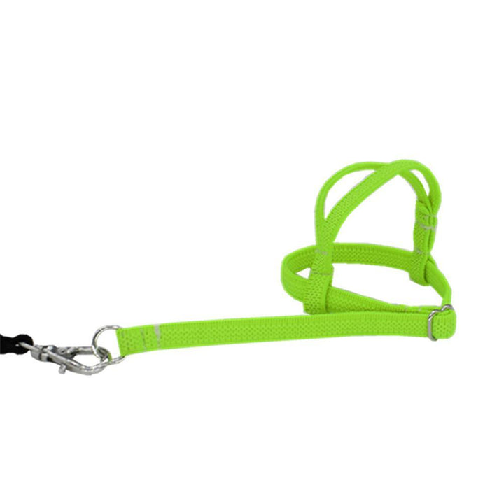 Bird's Ultralight Harness - Trendha