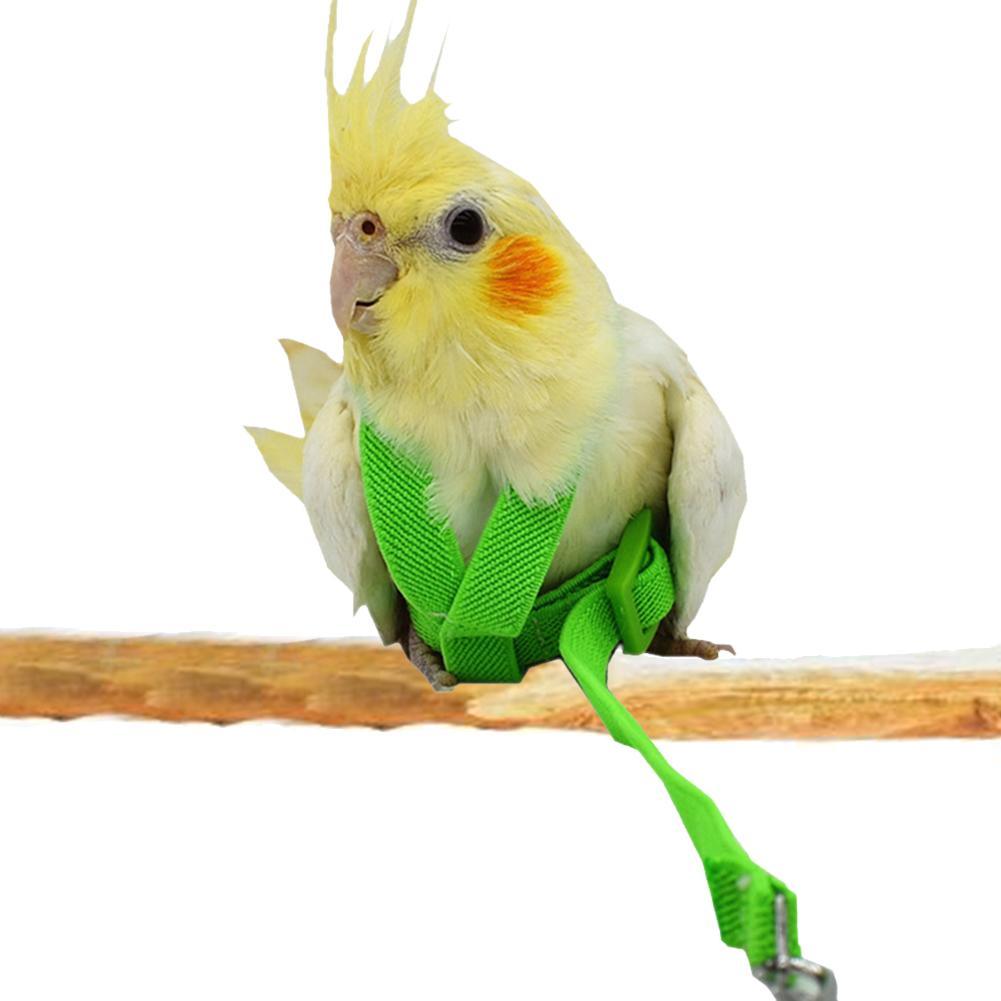 Bird's Ultralight Harness - Trendha