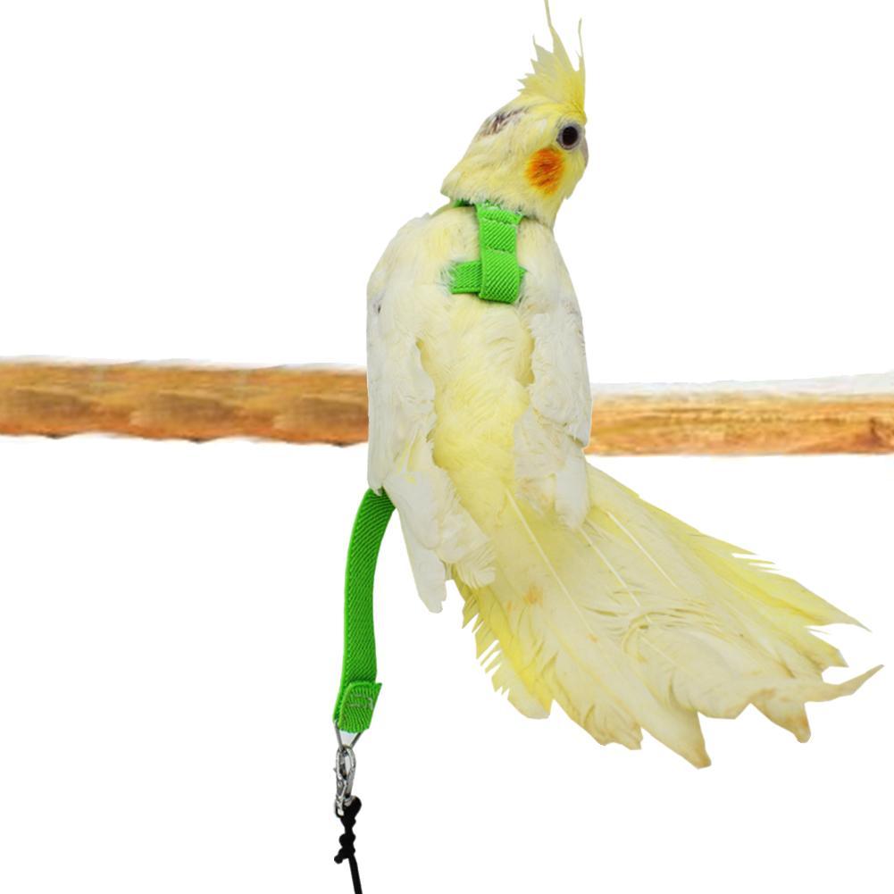 Bird's Ultralight Harness - Trendha