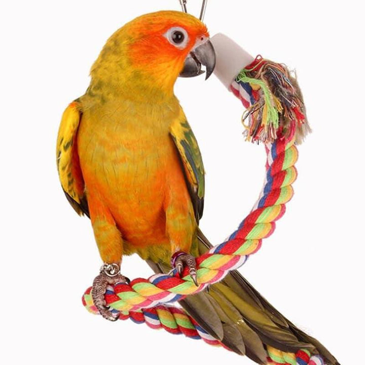 Bird's Woven Spiral Toy - Trendha