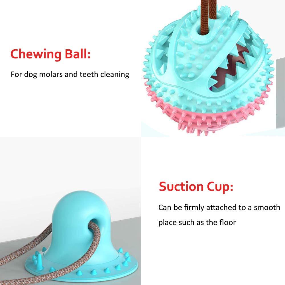 Biting Toy for Dogs - Trendha