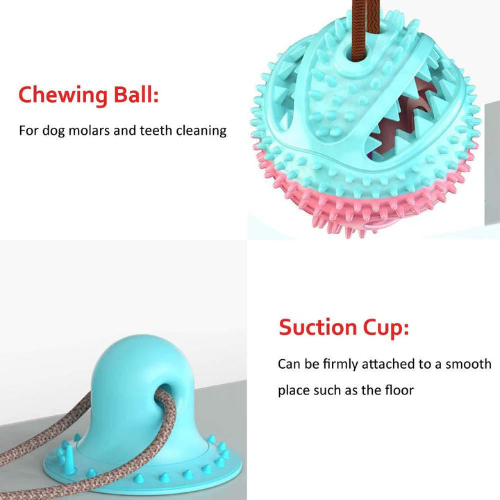 Biting Toy for Dogs - Trendha