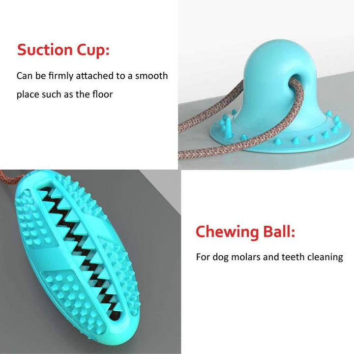 Biting Toy for Dogs - Trendha
