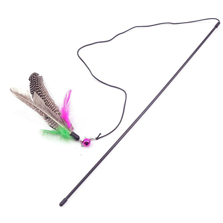 Cat's Interactive Toy Feather - Trendha