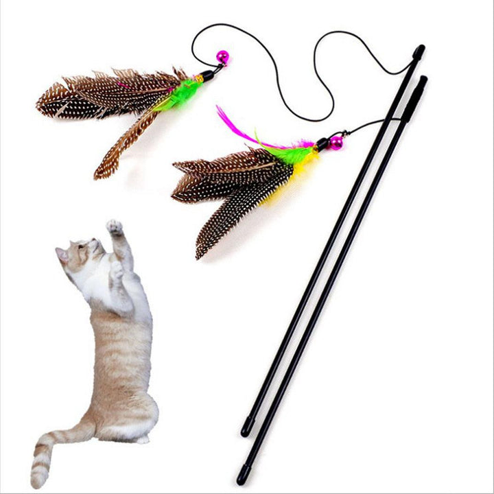 Cat's Interactive Toy Feather - Trendha