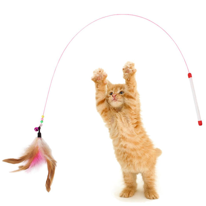 Cat's Interactive Toy Feather - Trendha