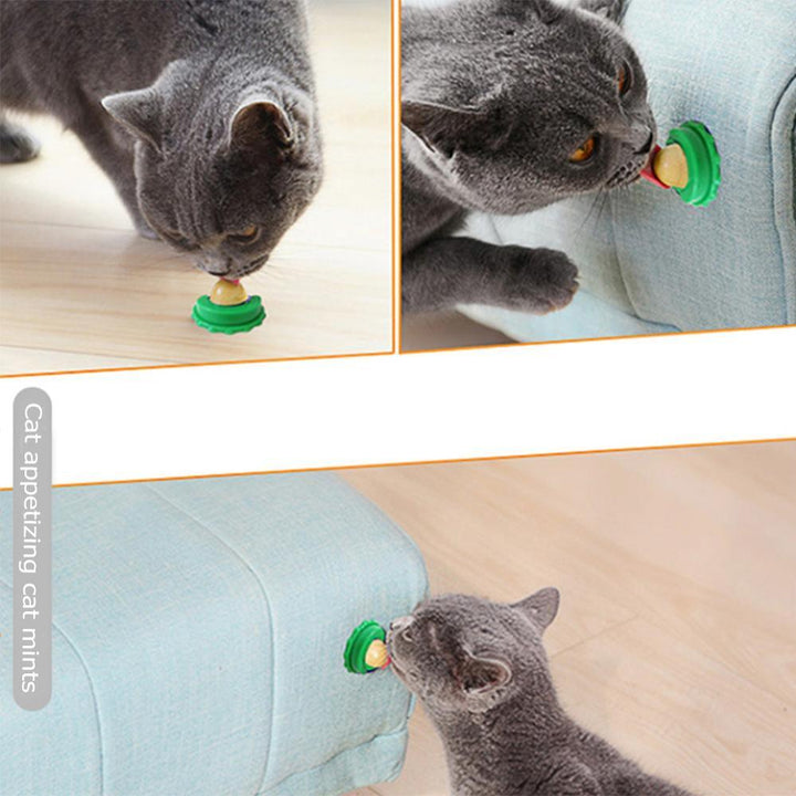 Cat's Licking Snack - Trendha