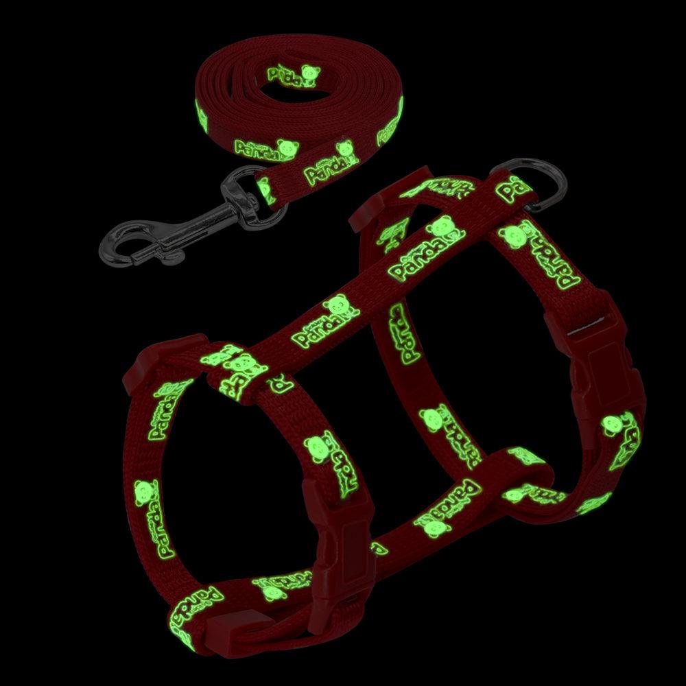 Cat's Luminous Harness And Leash Set - Trendha