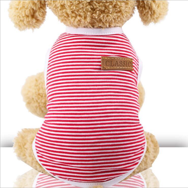 Cat's Summer Striped Cotton T-Shirts - Trendha