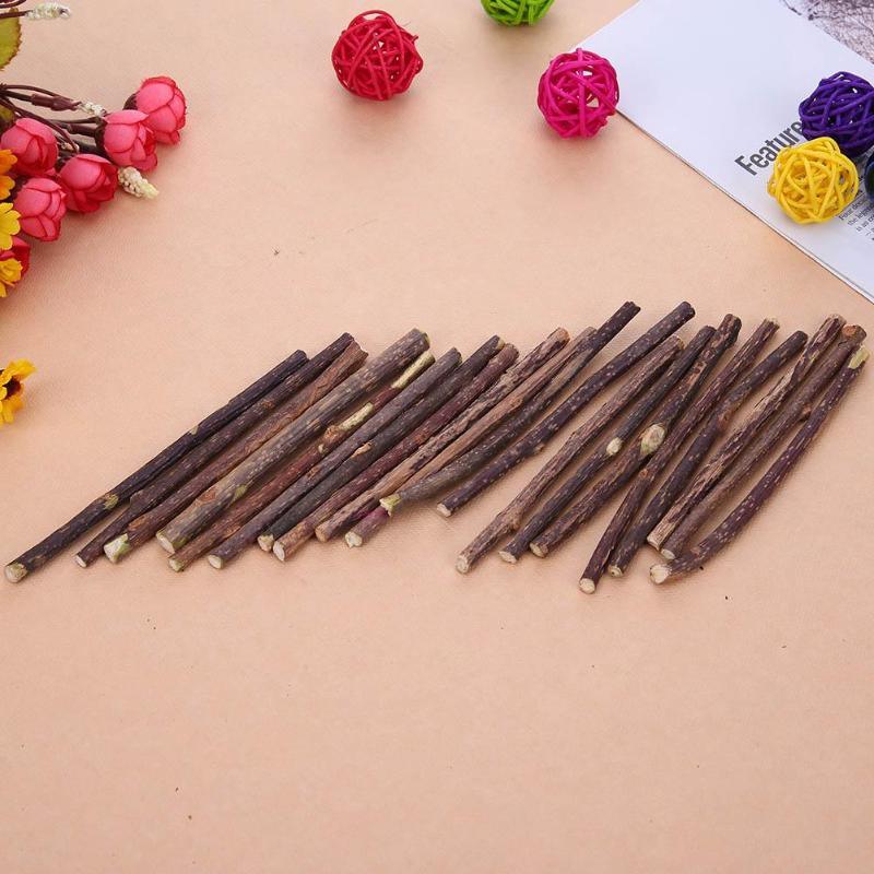 Catnip Teeth Brushing Sticks for Cat 15 / 20 Pcs Set - Trendha