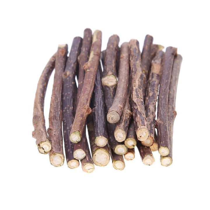 Catnip Teeth Brushing Sticks for Cat 15 / 20 Pcs Set - Trendha