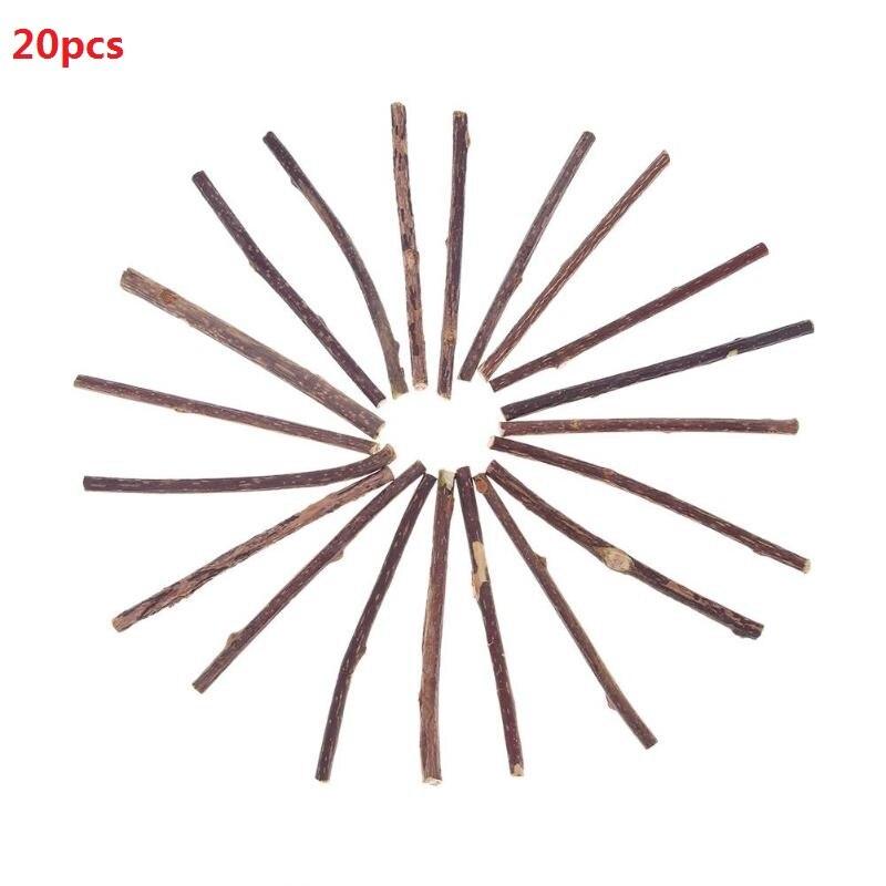 Catnip Teeth Brushing Sticks for Cat 15 / 20 Pcs Set - Trendha