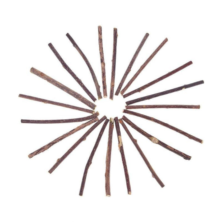 Catnip Teeth Brushing Sticks for Cat 15 / 20 Pcs Set - Trendha