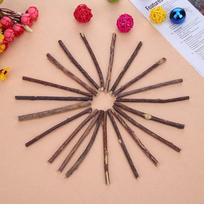Catnip Teeth Brushing Sticks for Cat 15 / 20 Pcs Set - Trendha