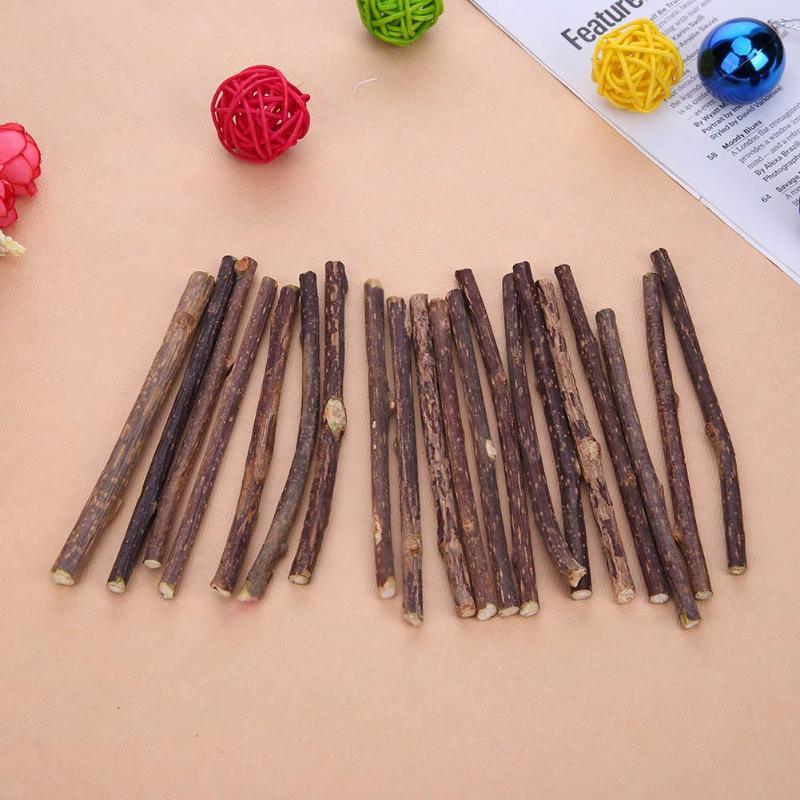 Catnip Teeth Brushing Sticks for Cat 15 / 20 Pcs Set - Trendha