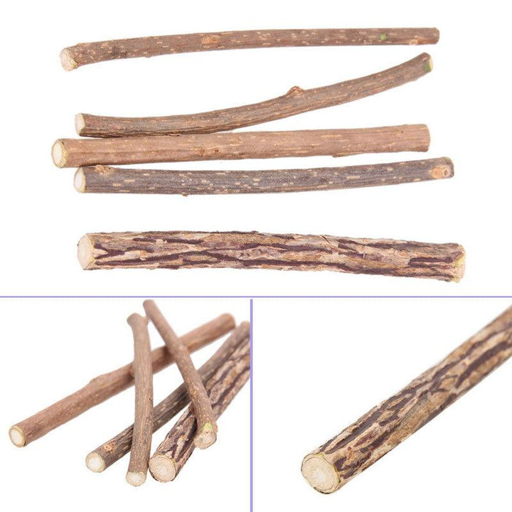 Catnip Teeth Brushing Sticks for Cat - Trendha